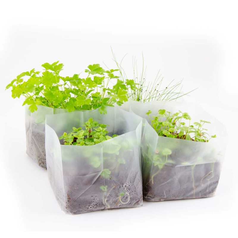 Mini Gemüsegarten mit Bio Aromamatten Quadrat