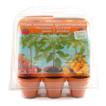 Serre Jardinage enfant - tomates bio à faire pousser