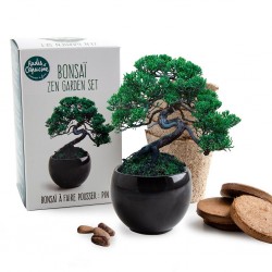 Bonsai culture box with pot