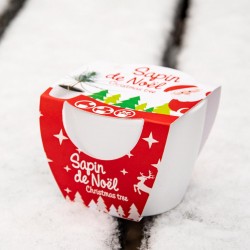 White Pot 8 cm Christmas -...