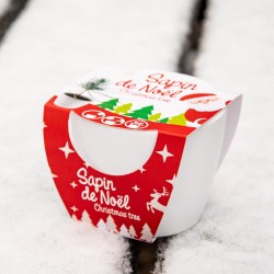 White Pot 8 cm Navidad - Spicy