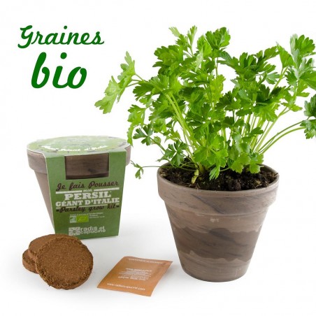 Pot Terre cuite Basalte 13cm Persil Géant Italie bio