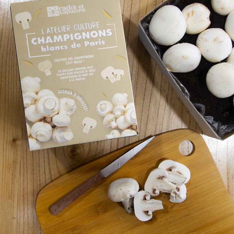 Mini Kit Champignon blanc de Paris organic 20x15x10cm