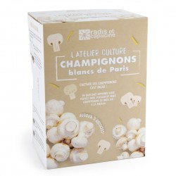 Mini Kit Champignon blanc de Paris organic 20x15x10cm