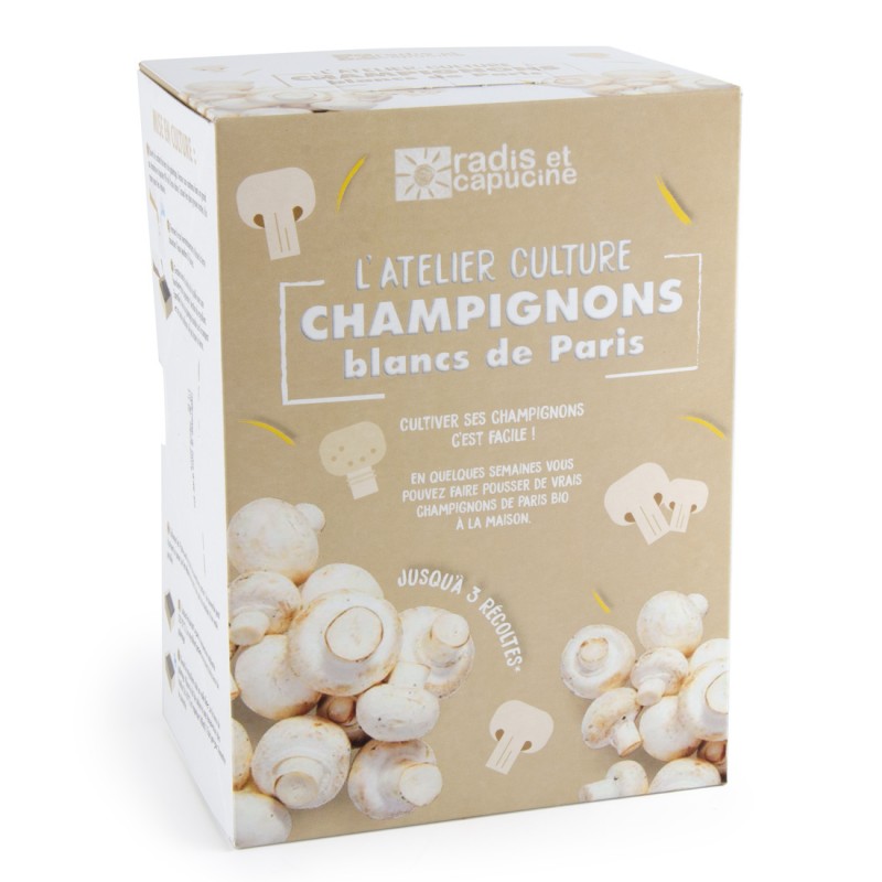 Mini Kit Champignon blanc de Paris organic 20x15x10cm