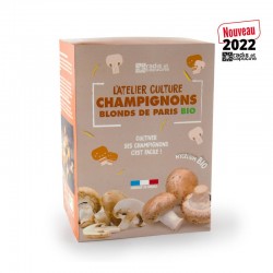 Funghi di Parigi marrone...