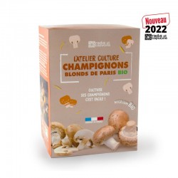 Mushrooms of Paris brown...