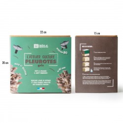 Kit Pilz Pleurotes bio grau 22x15x20cm