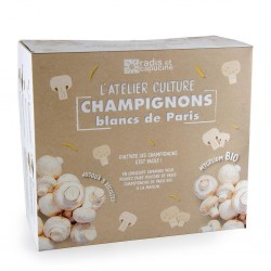 Champignons de Paris blanc...