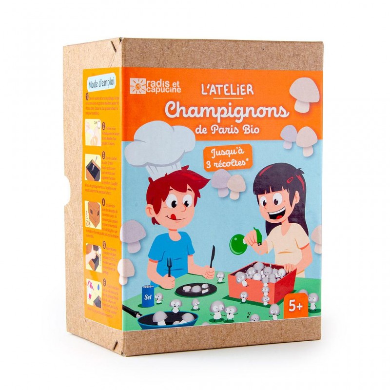 Mini Kit Champignon blanc de Paris bio pour enfants 20x15x10cm