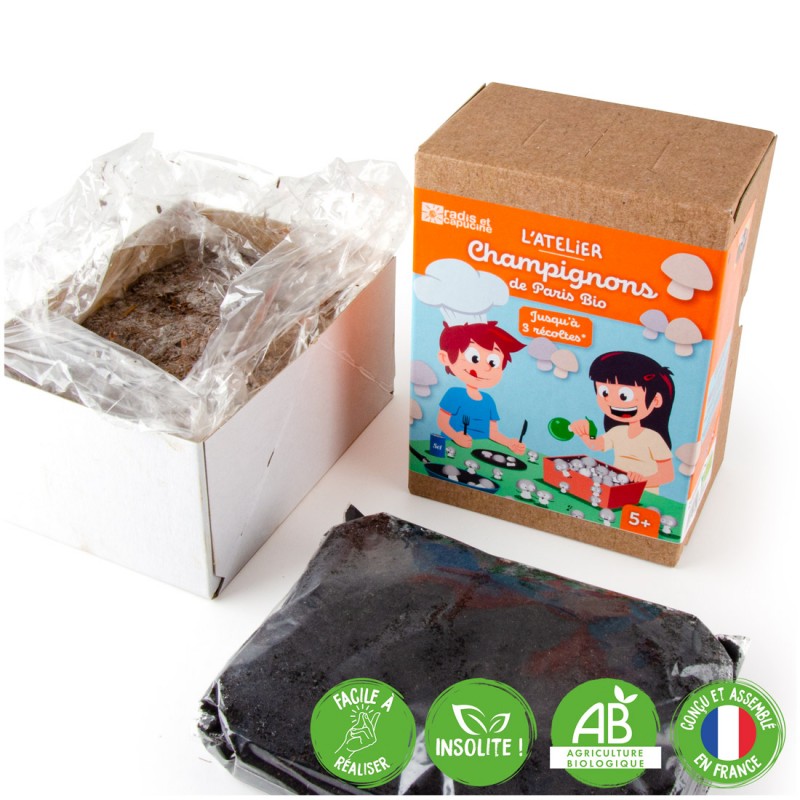 Mini Kit white mushroom organic for children 20x15x10cm