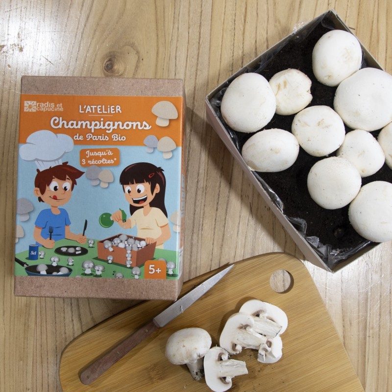 Mini Kit Champignon blanc de Paris bio pour enfants 20x15x10cm