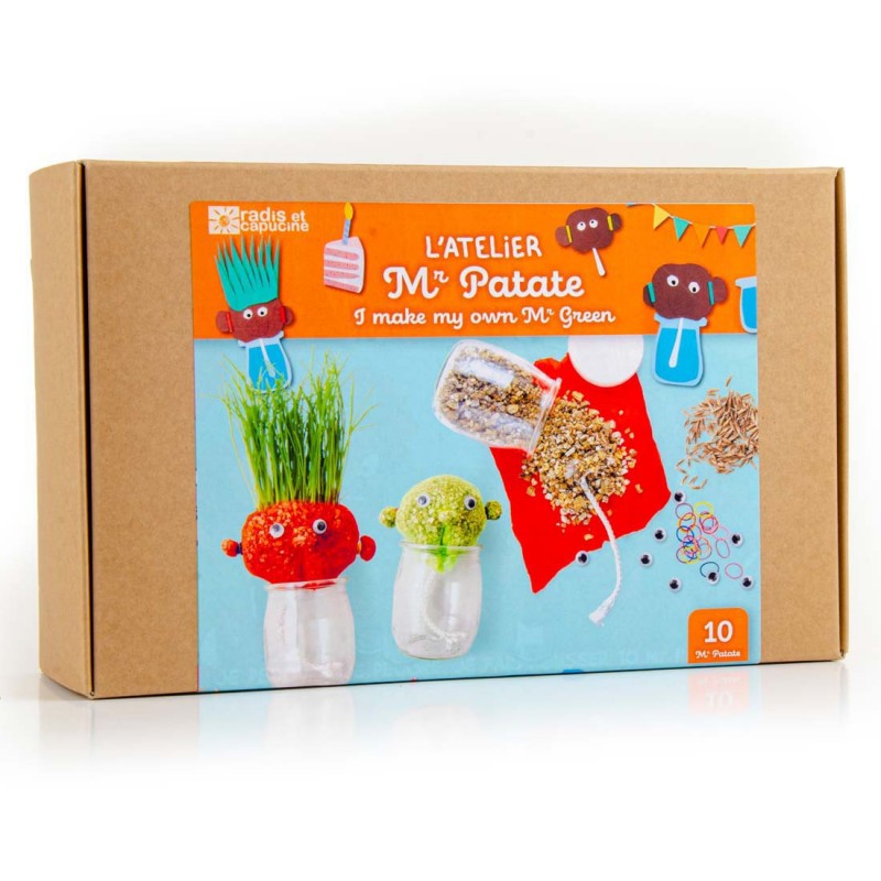 Coffret anniversaire 10 Mr Patate